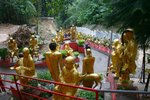 IMG_3003_resize