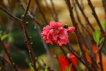 IMG_3091_resize