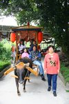 IMG_3249_resize