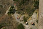 IMG_5124_resize_resize