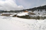 IMG_0117