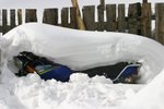IMG_0135
