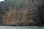 IMG_0590