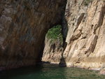 DSCF0636