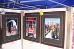 IMG_0334_resize