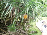 宏福管理處_029