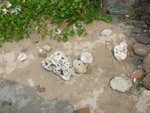 宏福管理處_036