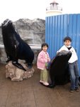 宏福2006海洋公園_250