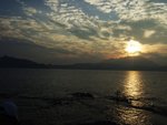 東平洲之旅_122