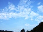 東平洲之旅_165
