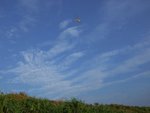 東平洲之旅_188