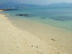 東平洲之旅_311