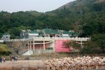 東龍島,大廟_179