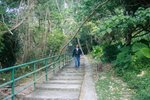東龍島,大廟_211