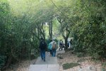 東龍島,大廟_212
