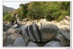 大小冷水麵包石_303