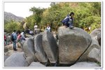 大小冷水麵包石_329