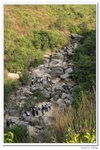 大小冷水麵包石_342