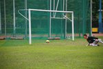 IMG_1983