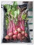 DSCF9038