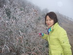 DSCF7944