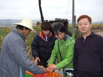 DSCF8054