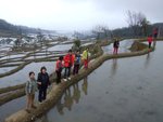 DSCF8096