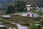 IMG_4810