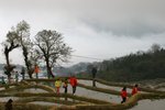 IMG_4815