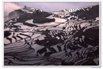 雲南_065