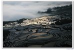 雲南_067