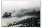 雲南_075