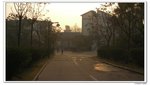 陽光之旅_050