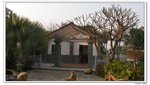 陽光之旅_060