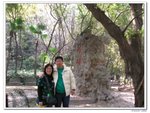 陽光之旅_080