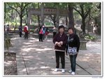 陽光之旅_081