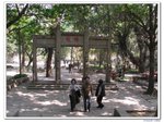 陽光之旅_091