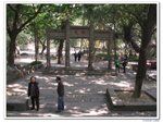 陽光之旅_093