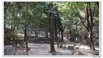 陽光之旅_100