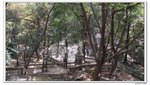 陽光之旅_102
