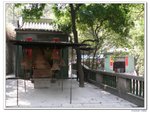 陽光之旅_111
