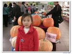 陽光之旅_152