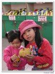 陽光之旅_157