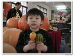 陽光之旅_163