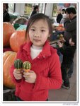 陽光之旅_165