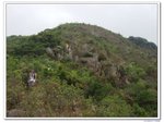 伯公坳上大東_185