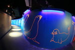 02-08-08海洋公園_097