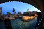 02-08-08海洋公園_098