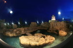 02-08-08海洋公園_110