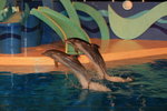02-08-08海洋公園_188